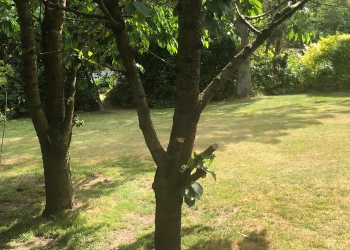 提拉布耶格旅馆 3*